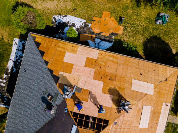 Quick and Trustworthy Emergency Roof Repair Services in Harbison Canyon, CA